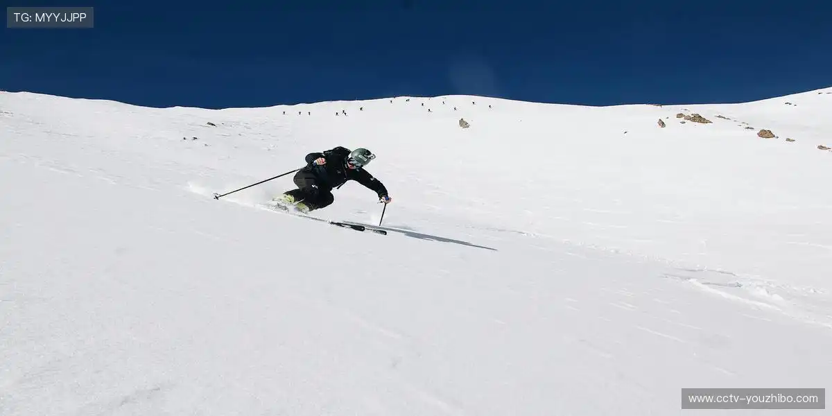 鹰眼追踪技术·让传奇延续🔬